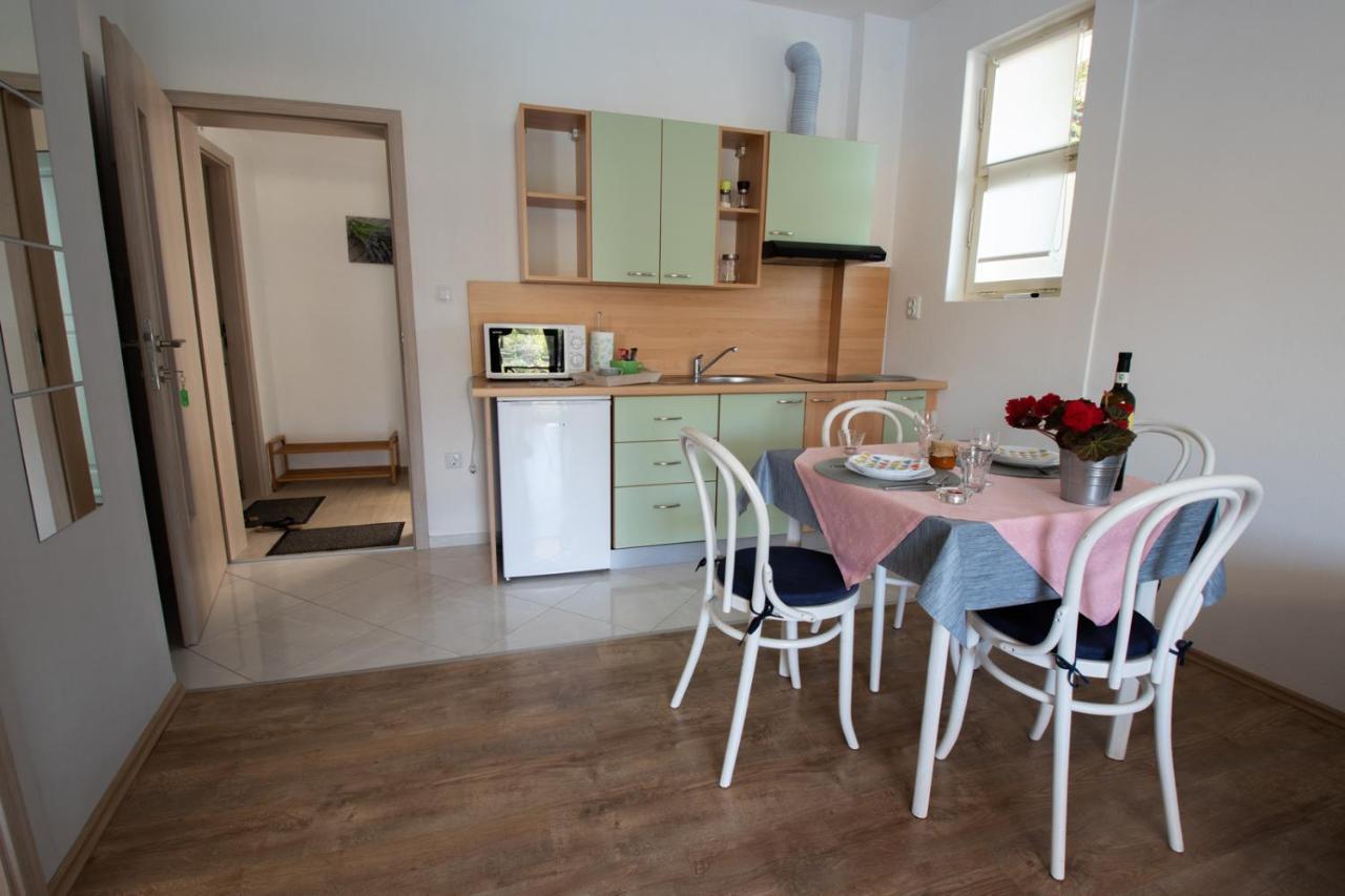 Apartment Blaskovic Novigrad  Exterior photo