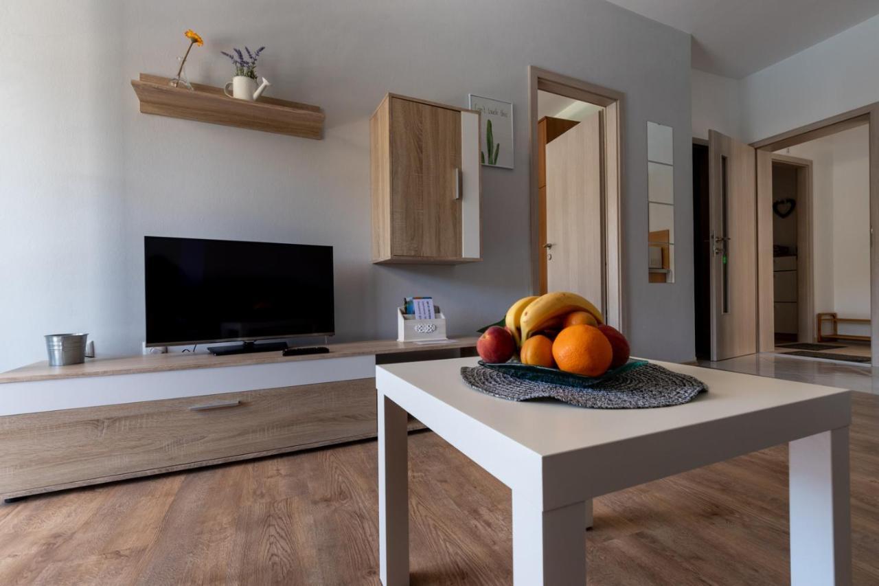 Apartment Blaskovic Novigrad  Exterior photo
