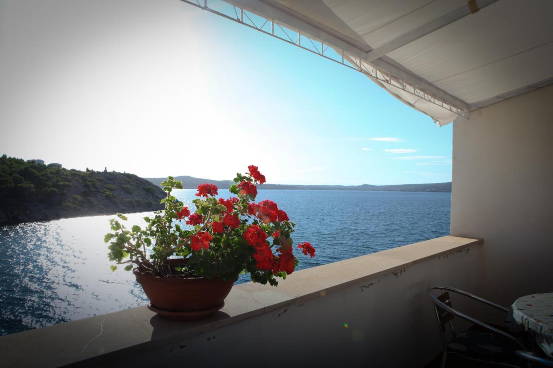 Apartment Blaskovic Novigrad  Exterior photo