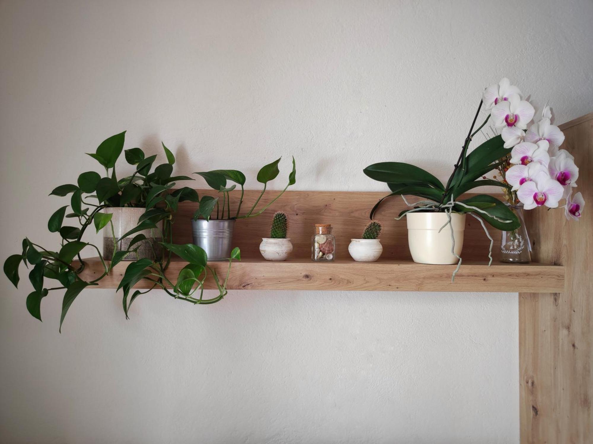 Apartment Blaskovic Novigrad  Room photo