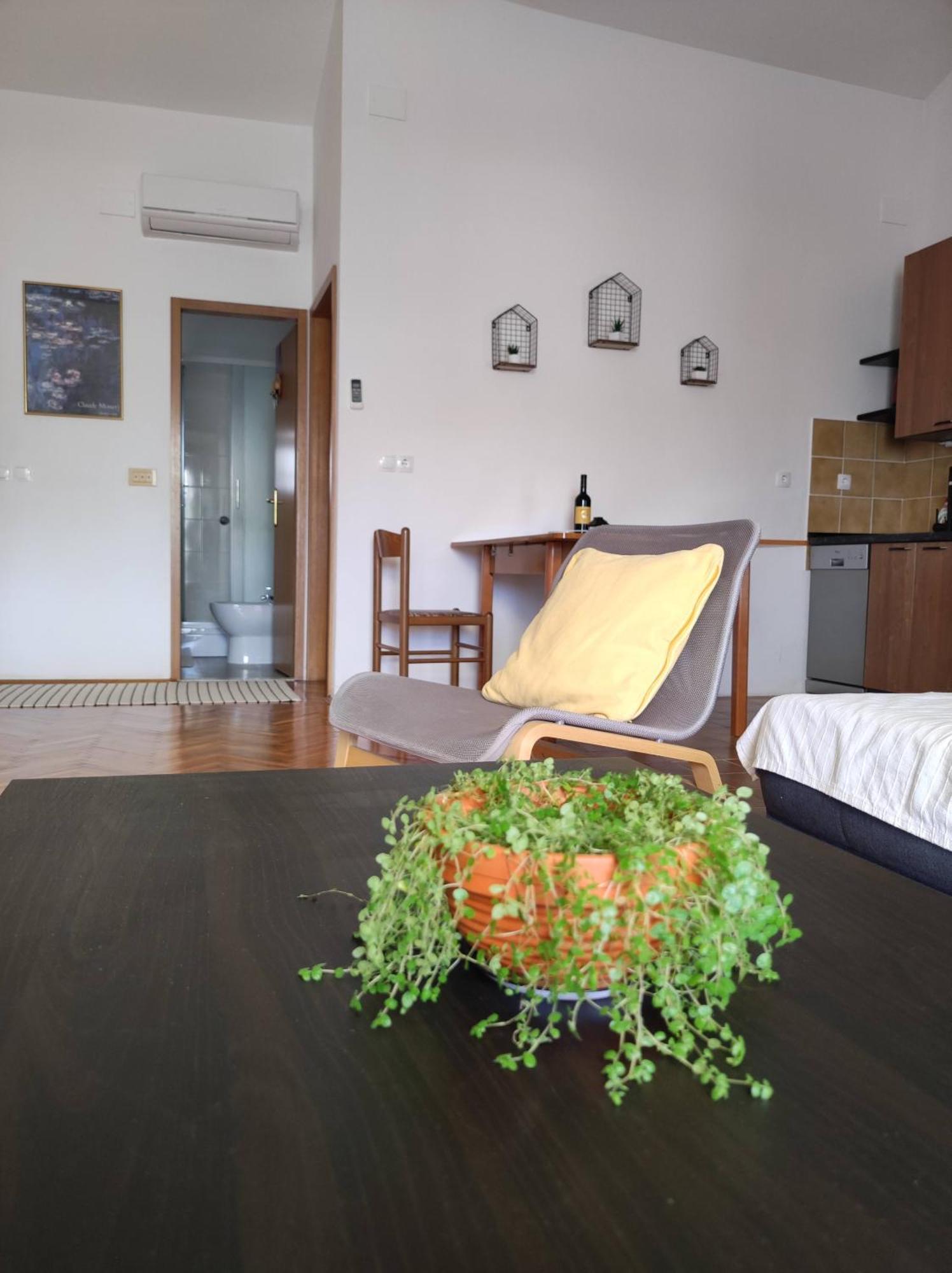 Apartment Blaskovic Novigrad  Room photo